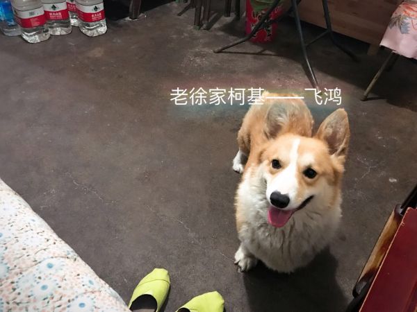 微信图片_20170516065627.jpg