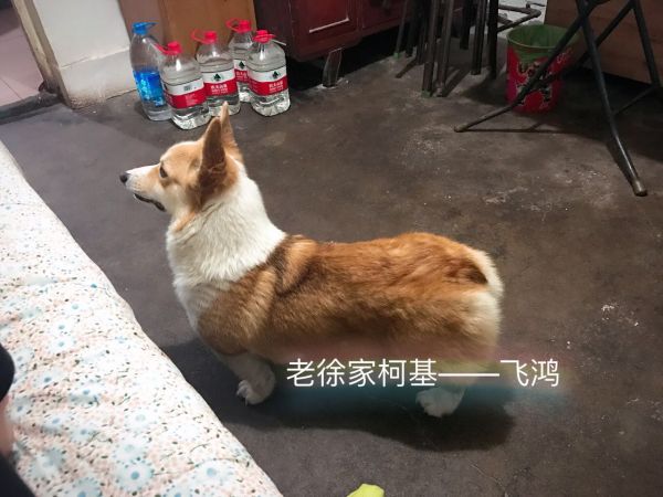 微信图片_20170516065631.jpg