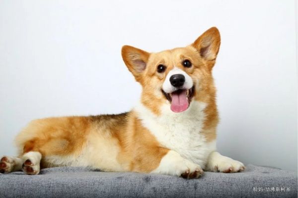 001929css0phjjhj0jhssr.jpg.thumb.jpg