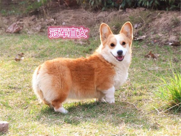 QQ图片20170531184659.jpg