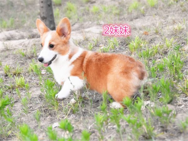 DSC_0675_副本.jpg