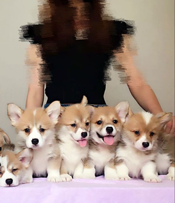 QQ图片20170601181352.jpg