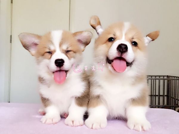 QQ图片20170601181829.jpg