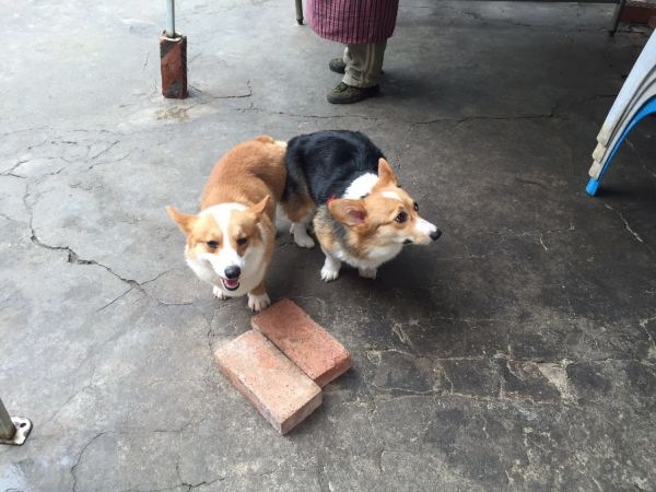 微信图片_20170602135003.jpg
