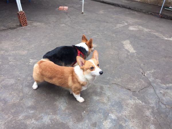 微信图片_20170602135009.jpg