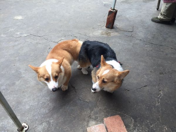 微信图片_20170602134959.jpg