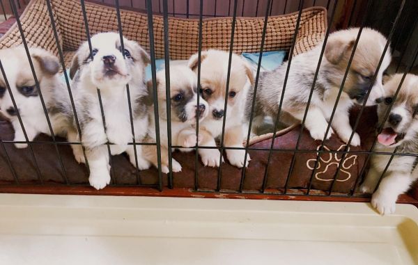 IMG_1826.JPG