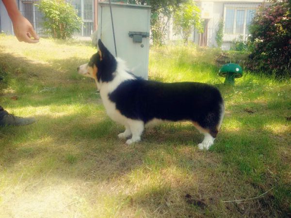 庞基3_副本.jpg
