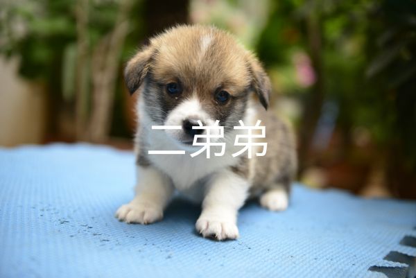 IMG_20170531_171305.jpg
