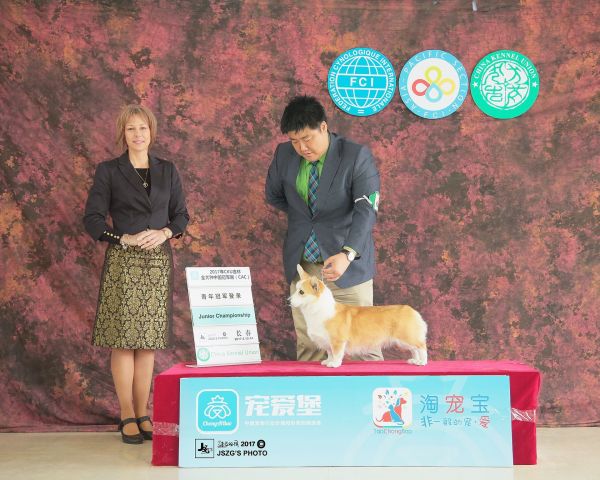 QQ图片20170607094943.jpg
