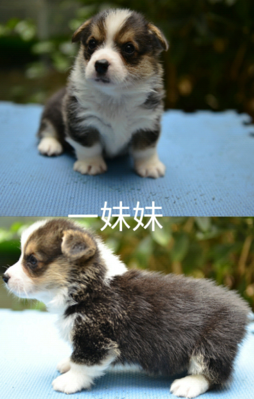 QQ截图20170607180841.png