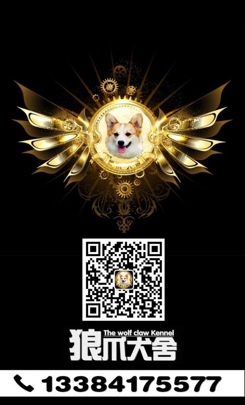 QQ图片20161130141439.jpg
