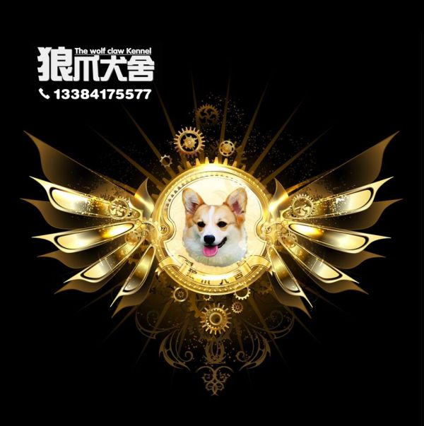 QQ图片20161130141503.jpg