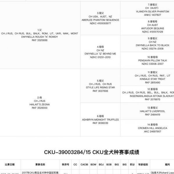 普京血统