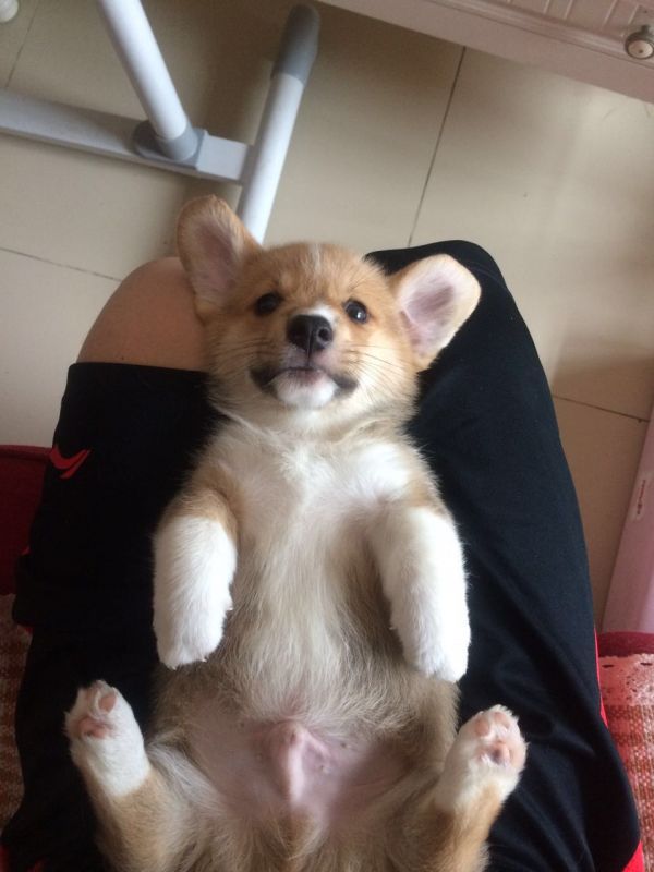 微信图片_20170611220127.jpg