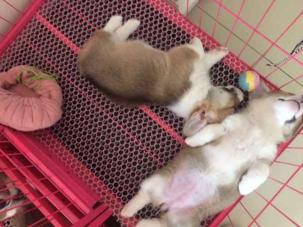 微信图片_20170611220133.jpg