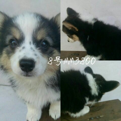 QQ图片20170514160335.jpg
