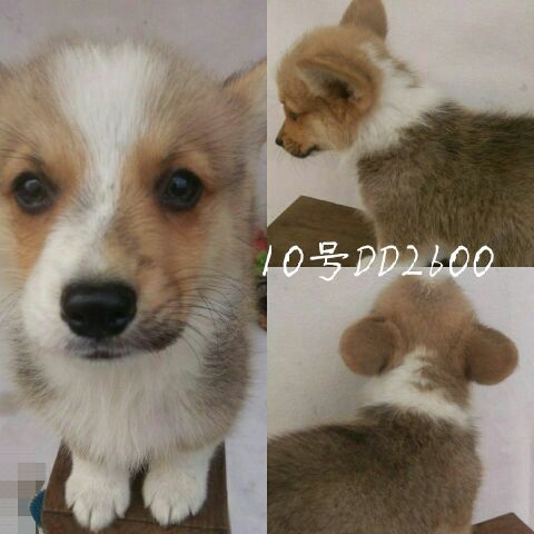 QQ图片20170514160346.jpg
