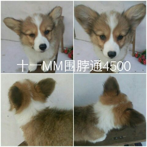 QQ图片20170514160945.jpg