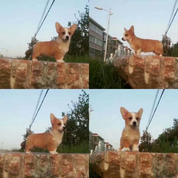 1495956066291.jpeg