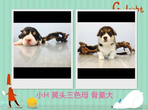 360桌面截图20170529075739.jpg