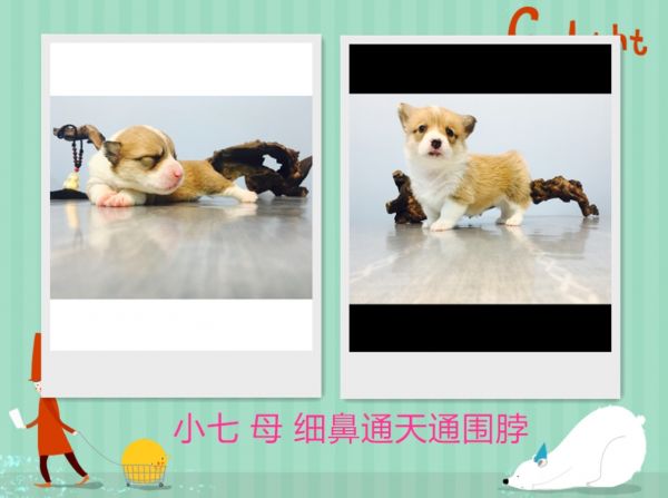 360桌面截图20170529075748.jpg