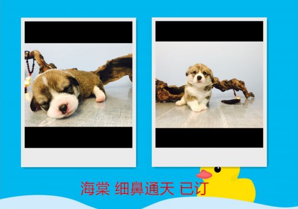360桌面截图20170529125859.jpg