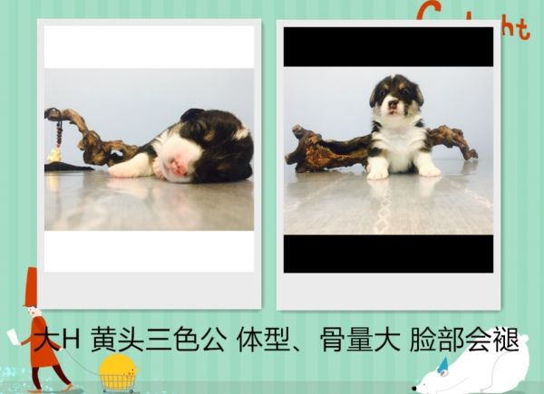 360桌面截图20170529130100.jpg
