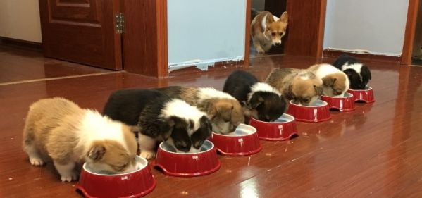 360桌面截图20170529130655.jpg