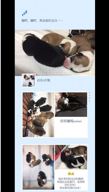 360桌面截图20170529075601.jpg