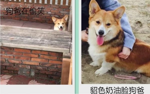 360桌面截图20170529130551.jpg