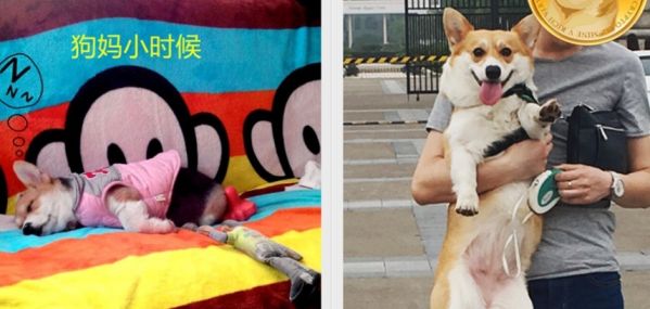 360桌面截图20170529130911.jpg