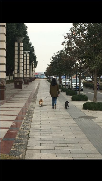 360桌面截图20170529075644.jpg
