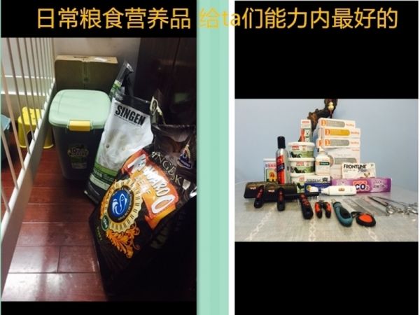 360桌面截图20170529130334.jpg