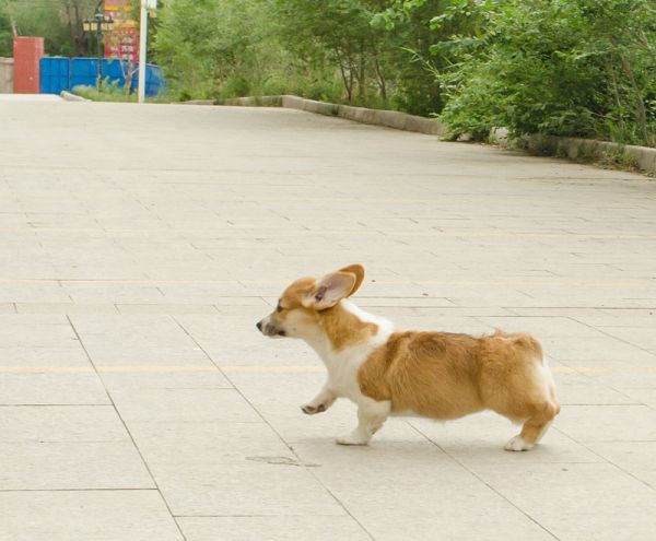 DSC_6715_副本.jpg