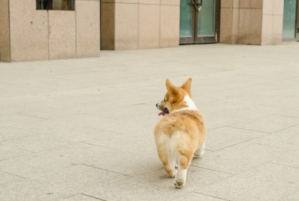DSC_6752_副本.jpg