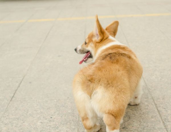 DSC_6770_副本.jpg