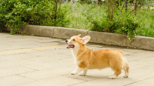DSC_6853_副本.jpg