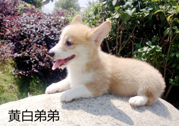 IMG_20170526_104755_副本.jpg