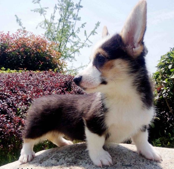 IMG_20170526_105156_副本.jpg