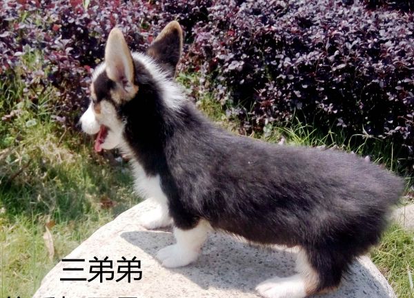 IMG_20170526_105514_副本.jpg