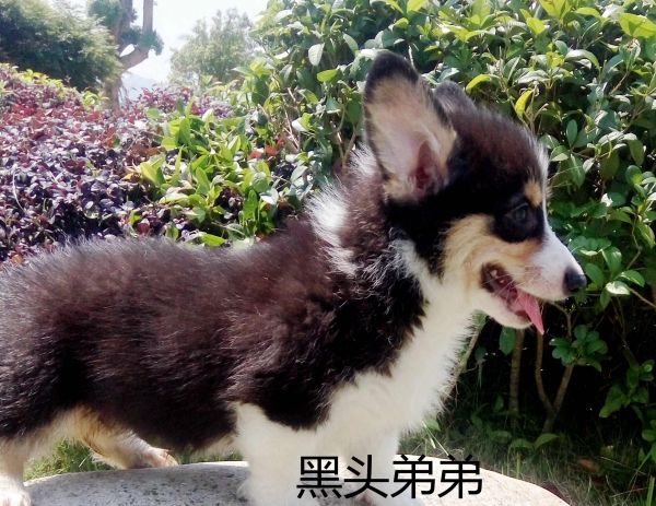 IMG_20170526_105742_副本.jpg