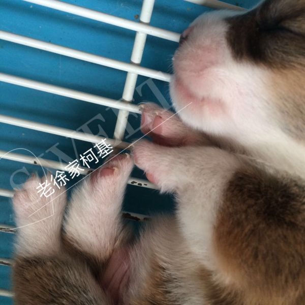 微信图片_20170531210913.jpg