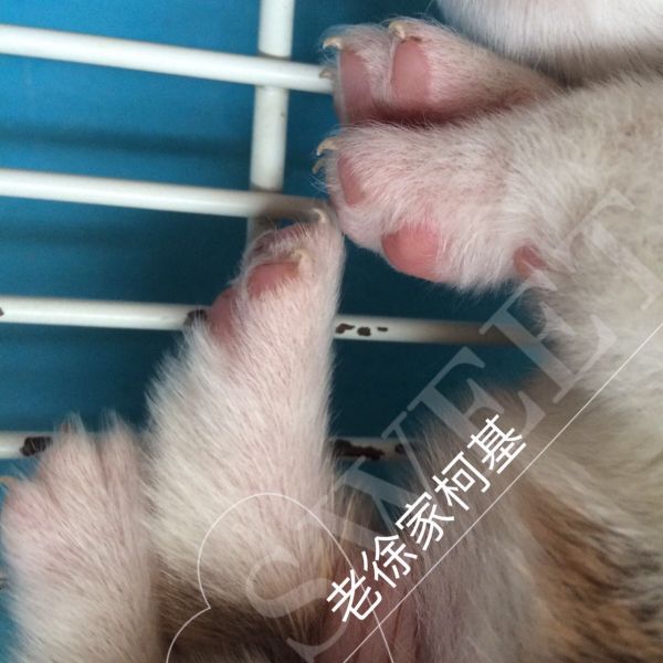 微信图片_20170531210917.jpg