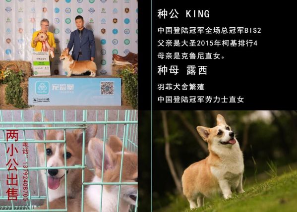 QQ图片20170601092217.jpg
