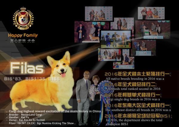 Filas2016犬展赛事汇总_副本.jpg