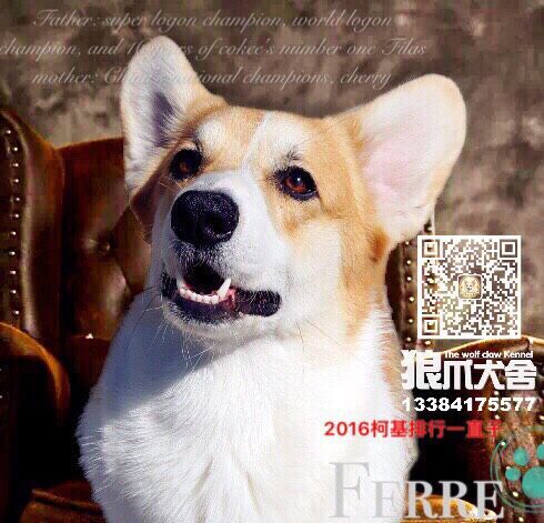 QQ图片20170611141001.jpg