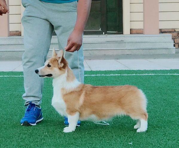 QQ图片20170612084741.jpg
