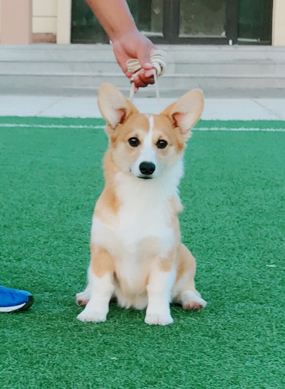 美星宝宝IMG_0786.JPG