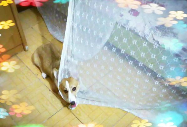 0_meitu_6.jpg
